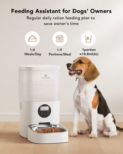 PetLibro - 6L Automatic Pet Feeder with Voice Recorder - Transparent White