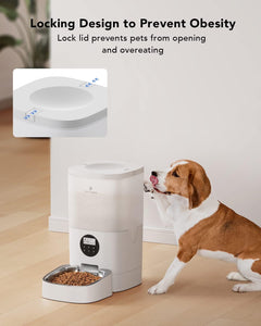 PetLibro - 6L Automatic Pet Feeder with Voice Recorder - Transparent White