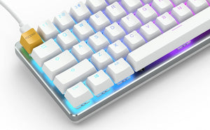 Glorious GMMK 1 Compact 60% Wired Mechanical Gaming Keyboard with RGB Lighting - White Ice